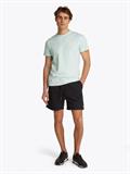 TJM S FLAG BEACH SHORT EXT black