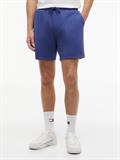 TJM S FLAG BEACH SHORT EXT blue storm