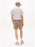 TJM S FLAG BEACH SHORT EXT ivy mink