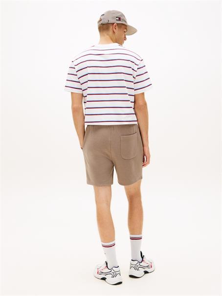 TJM S FLAG BEACH SHORT EXT ivy mink