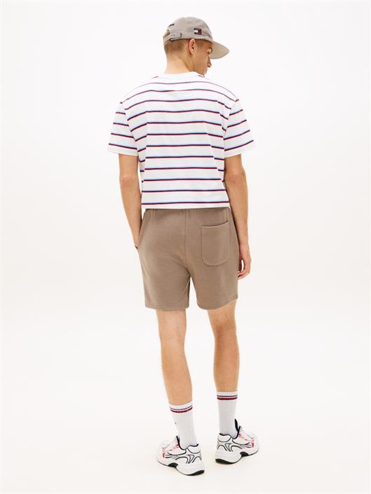 tjm-s-flag-beach-short-ext-ivy-mink