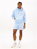 TJM S FLAG BEACH SHORT EXT sweet blue