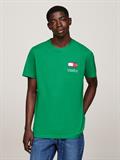 TJM SLIM 2PACK S/S FLAG DNA TEE green malachite - black