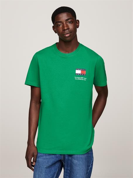 TJM SLIM 2PACK S/S FLAG DNA TEE green malachite - black
