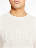 TJM TONAL TOMMY COLLEGIATE TEE ancient white