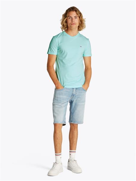 TJM XSLIM JASPE HTR TEE EXT spring mint htr