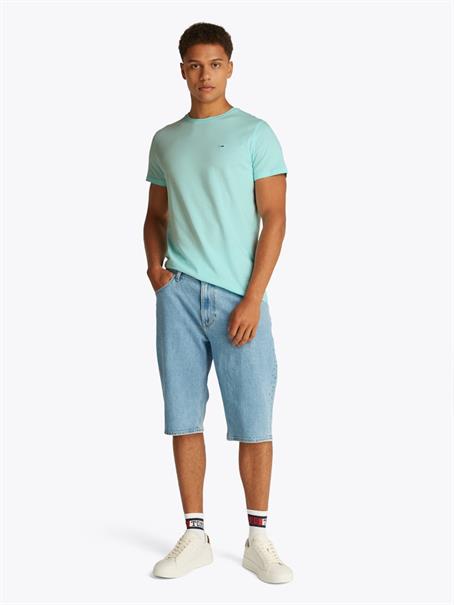 TJM XSLIM JERSEY TEE spring mint