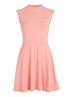 TJW BABYLOCK FIT & FLARE DRESS tickled pink