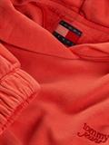 TJW CRP GMD SCRIPT HOODIE bright vermillion