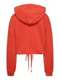 TJW CRP GMD SCRIPT HOODIE bright vermillion