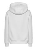 TJW REG ESS LOGO HOODIE EXT ecru