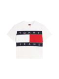 TJW REG FLAG SS TEE EXT ancient white