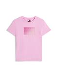 TJW REG GRADIENT FLAG SS carnival pink