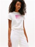 TJW REG GRADIENT FLAG SS ecru