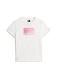 TJW REG GRADIENT FLAG SS ecru