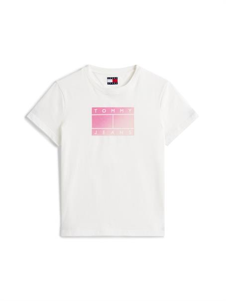 TJW REG GRADIENT FLAG SS ecru