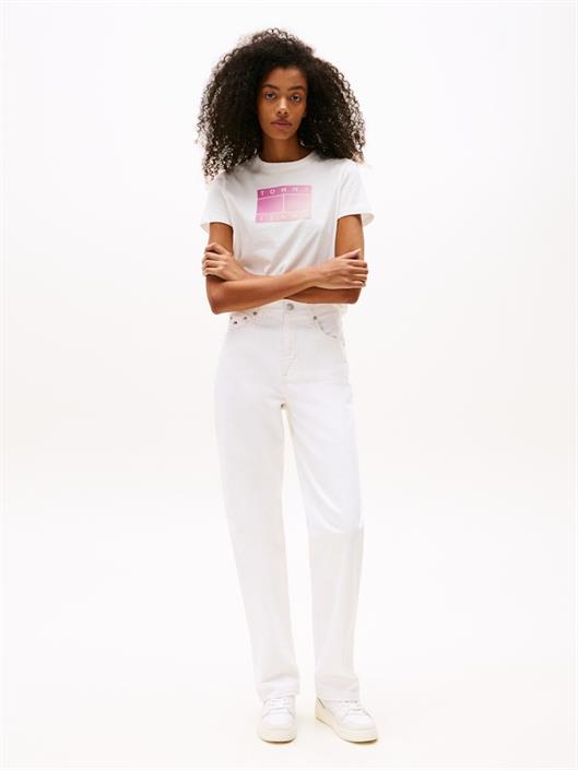 tjw-reg-gradient-flag-ss-ecru