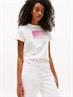 TJW REG GRADIENT FLAG SS ecru