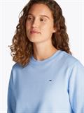 TJW REG S FLAG CREW sweet blue