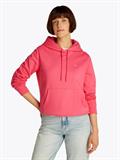 TJW REG S FLAG HOODIE amour
