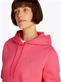 TJW REG S FLAG HOODIE amour
