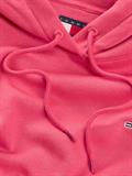 TJW REG S FLAG HOODIE amour