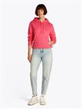 TJW REG S FLAG HOODIE amour