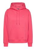 TJW REG S FLAG HOODIE amour