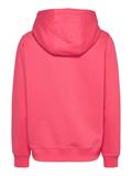 TJW REG S FLAG HOODIE amour
