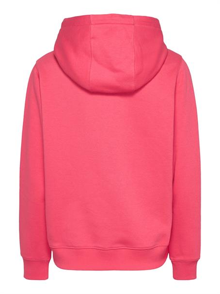 TJW REG S FLAG HOODIE amour