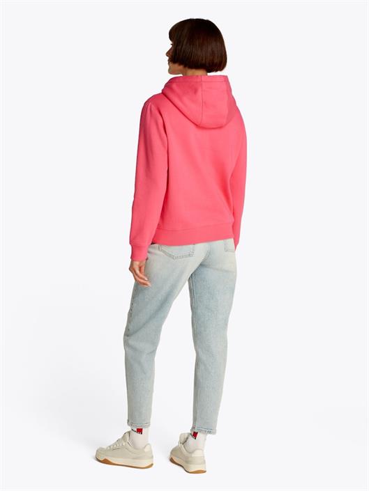 tjw-reg-s-flag-hoodie-amour