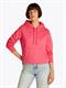 TJW REG S FLAG HOODIE amour