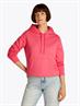 TJW REG S FLAG HOODIE amour