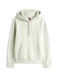 TJW REG S FLAG HOODIE misty sage