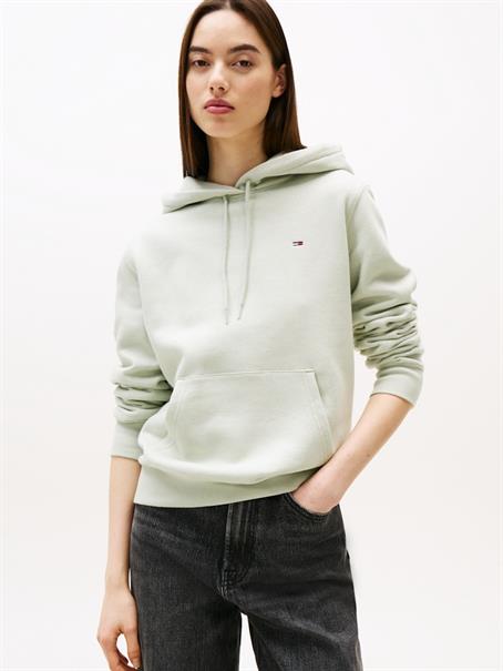 TJW REG S FLAG HOODIE misty sage