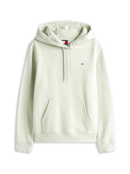 TJW REG S FLAG HOODIE misty sage