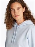 TJW REG S FLAG HOODIE sweet blue