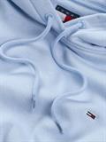 TJW REG S FLAG HOODIE sweet blue