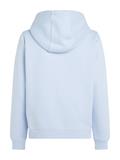 TJW REG S FLAG HOODIE sweet blue