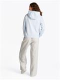 TJW REG S FLAG HOODIE sweet blue