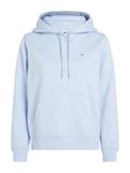 TJW REG S FLAG HOODIE sweet blue