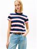 TJW REG S FLAG JERSEY SS TEE EXT dark night navy - multi stripe