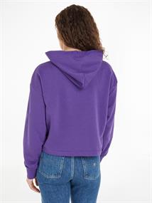 TJW RLX ESSENTIAL LOGO 2 HOODIE college purple