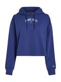 TJW RLX ESSENTIAL LOGO 2 HOODIE pilot blue