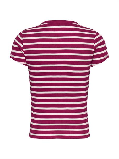 TJW SLIM BUTTON RIB C-NECK SS brilliant berry - stripe