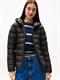 TJW SLIM HOOD PRNT DOWN JCKT EXT black