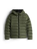 TJW SLIM HOOD PRNT DOWN JCKT EXT pewter green