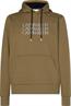 TRIPLE CENTER LOGO HOODIE delta green