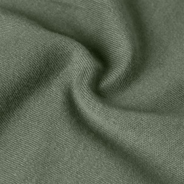 True regular r t orphus