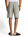 TTRELAXED Shorts mit Leinenanteil sea spray green stripe